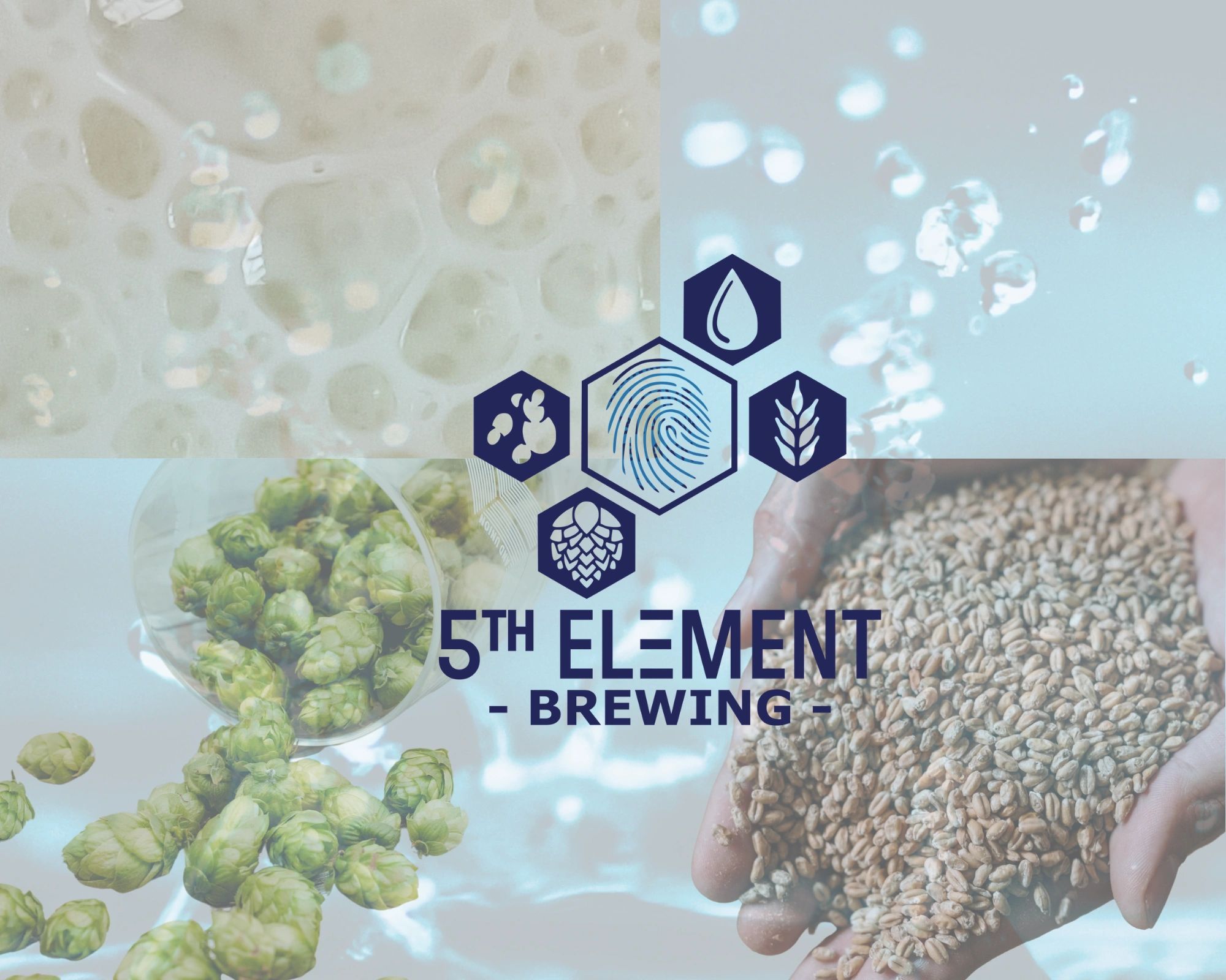 5th Element Brewing